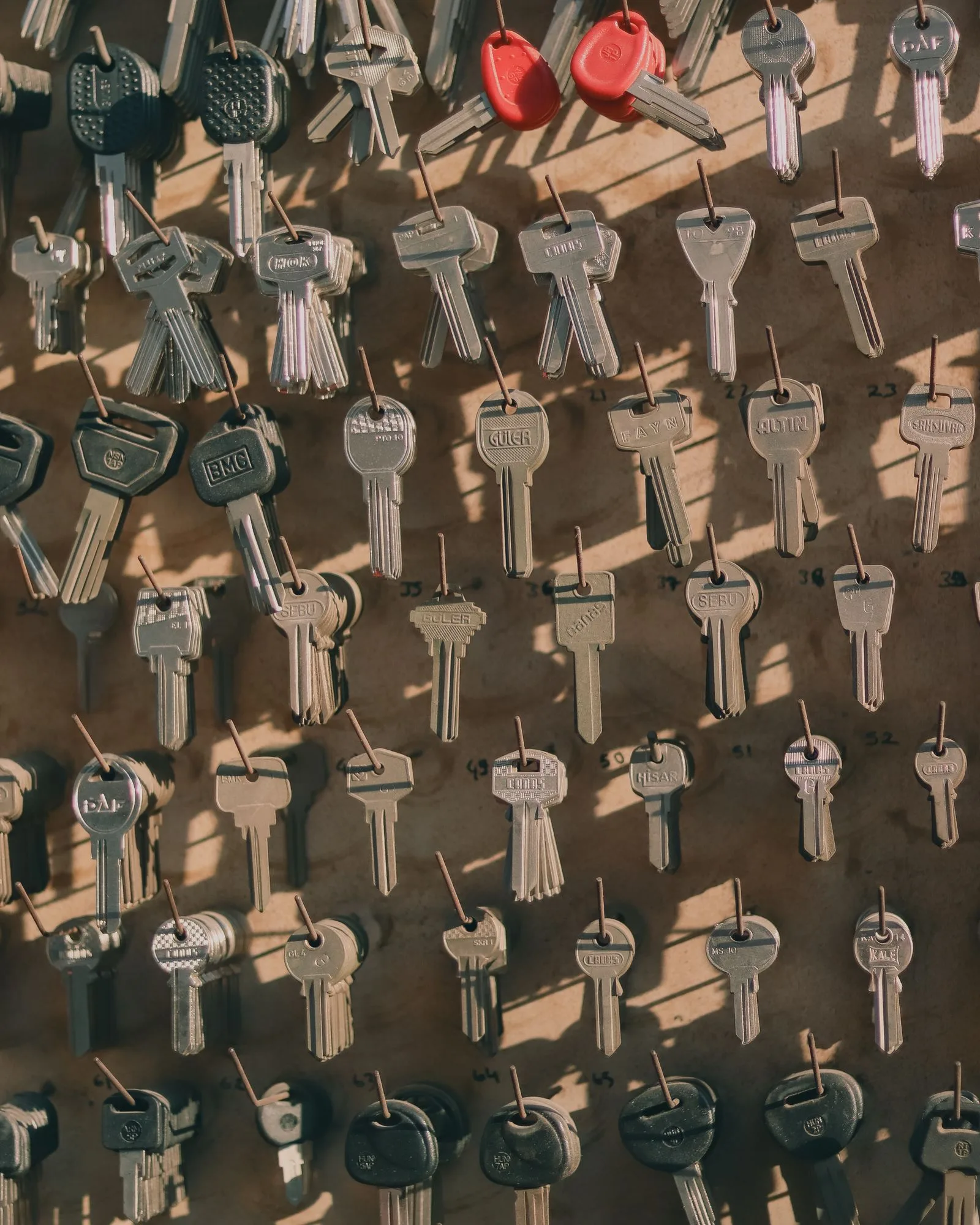 Assorted metal keys hanging on wall hooks, organized for key control