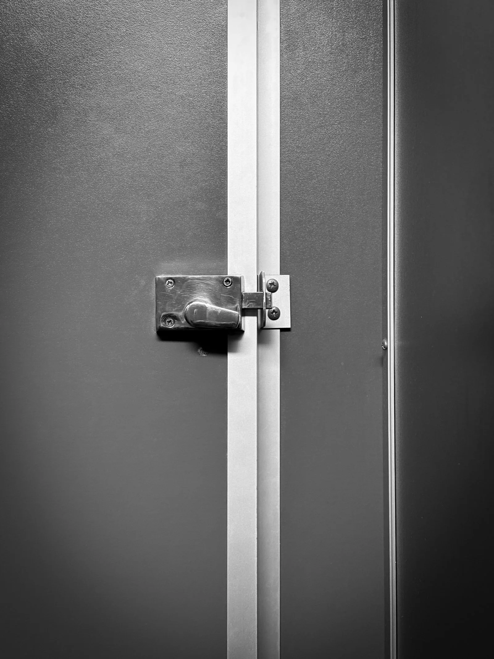 Locked commercial metal door with an industrial style lock